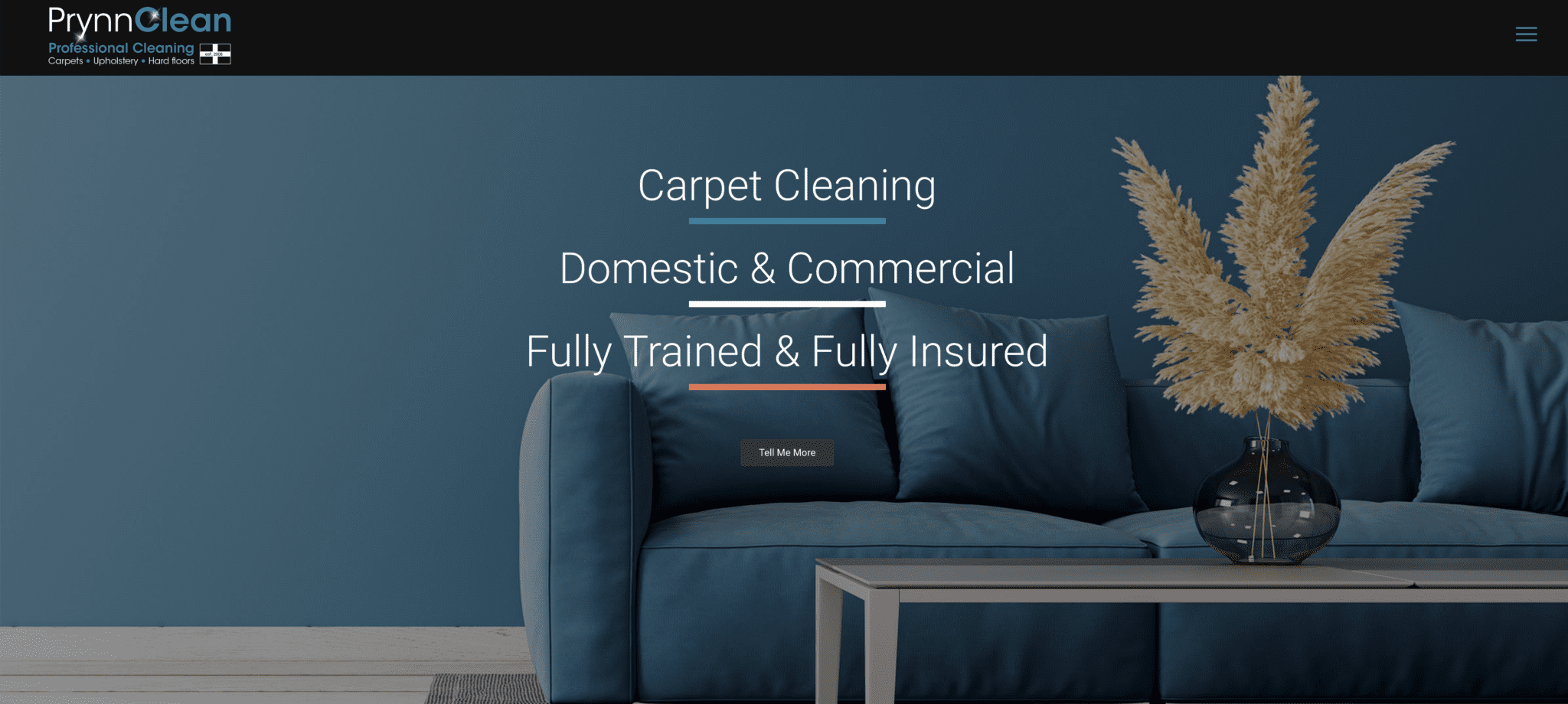 Carpet Cleaner St Austell, Cornwall site Prynn Clean